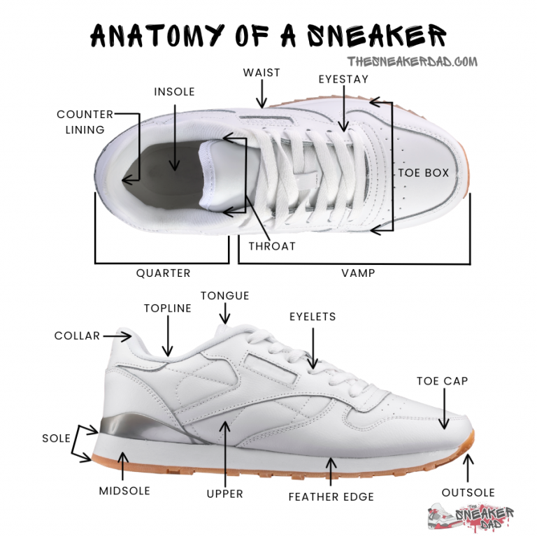Understanding the Parts of a Shoe